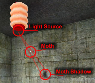 moth_shadow.jpg