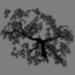 tree_shadow.jpg