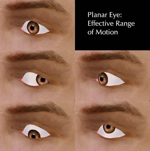 eye motion range